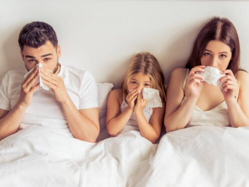 Indoor air quality solutions in Garland, TX